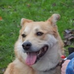 Nous espérons que Kitty continuera de progresser.