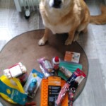 En tout cas, elles ont fait de jolis emplettes avec leur cadeau!